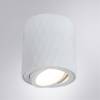 Потолочный светильник Arte Lamp Fang A5559PL-1WH фото 4