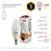 Лампа светодиодная ЭРА E14 5W 2700K матовая LED B35-5W-827-E14 Б0018871 фото 3