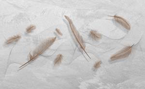 3D Фотообои Artegrafico «Невесомый поток» PL-075 канвас