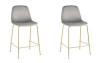 Набор из 2 полубарных стульев Stool Group Валенсия SN OS-001CB HLR-18 gl X2 серый, золотые ножки