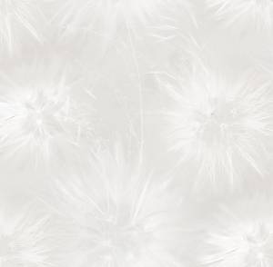 Обои Victoria Stenova Amazing 286811