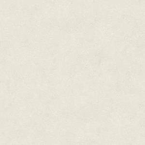 Керамогранит Porcelanosa Terra 100348029 Bone 120x120