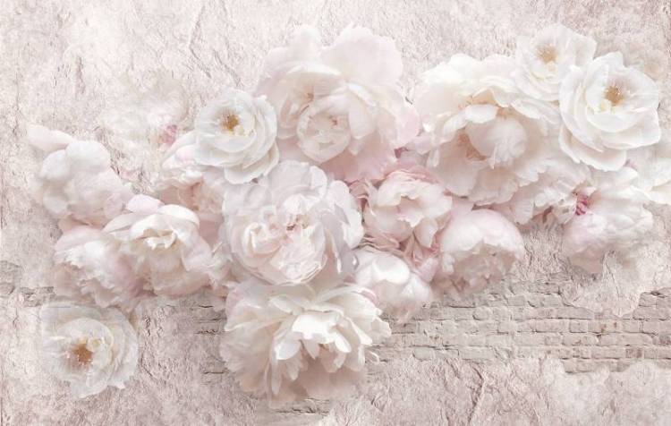 3D Фотообои Artegrafico «Ажурные пионы» RC-015 канвас