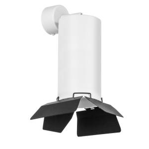 Настенно-потолочные светильники Lightstar Rullo RB6487487