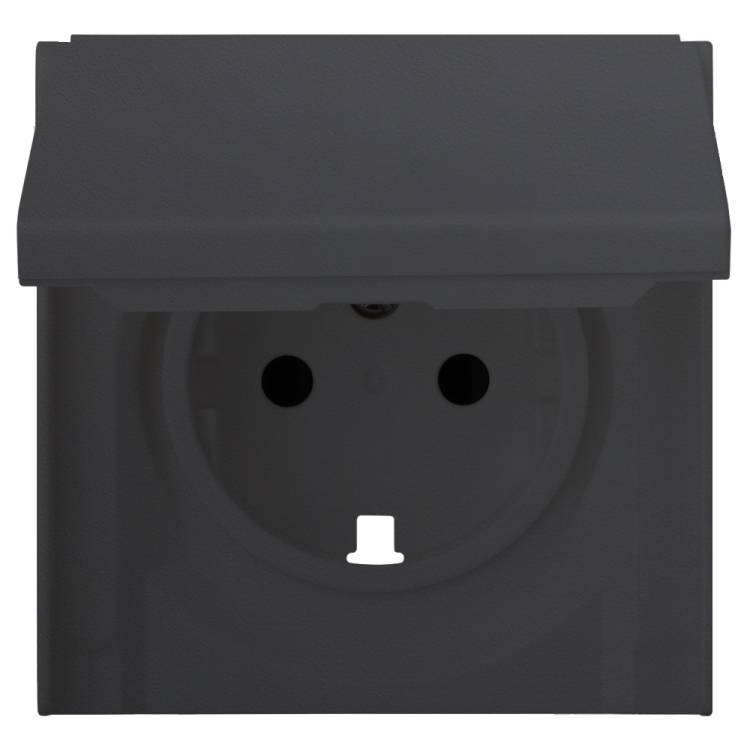 Лицевая панель для розетки 2к+з с крышкой Rikett 35634 MB черный сатин