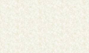 Обои бумажные Bruno Zoff Gold 60124-1