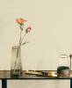 Обои флизелиновые Bernardo Bartalucci Bigi 5066-10 фото 3