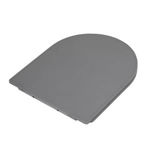 Крышка-сиденье BelBagno Colorato BB062SC-GR с микролифтом, серое матовое