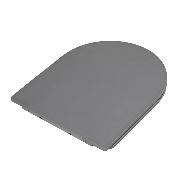 Крышка-сиденье BelBagno Colorato BB062SC-GR с микролифтом, серое матовое