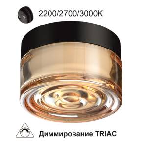 Уличный потолочный светодиодный светильник Odeon Light Ronda 7158/6CL
