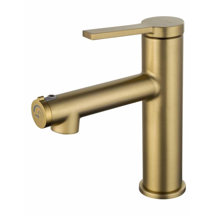 Смеситель для раковины Wonzon & Woghand WW-H1017-BG брашированное золото