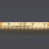 Светодиодная влагозащищенная лента Lightstar 420854 фото 2
