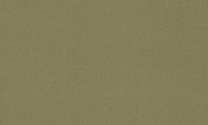 Обои виниловые Rasch Tendencia 975598