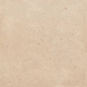 Керамогранит ABK Moooi Nesting Room PF60021295 Egg Scape Hay Nat 60x60