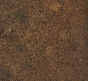 Пробковое покрытие IberCork Амадора маррон 6 VG Клеевое 600x300x6