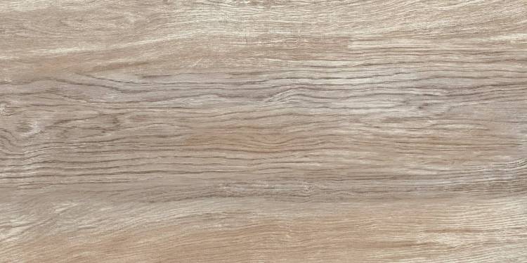 Керамическая плитка AltaCera Detroit Wood WT9DET08 24.9x50