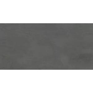 Керамогранит Ennface Monocolor ENMON8024DM60120 Artcolor Silver Digi Matt 60x120