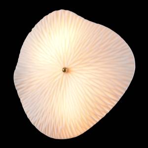 Бра Crystal Lux Contessa AP2.2