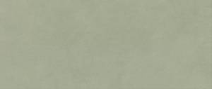 Керамическая плитка Atlas Concorde Boost Expression AYR7 Olive Matte 50x120