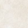 Керамогранит Alma Ceramica Ricci GFU04RIC04R 60x60