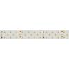 Светодиодная лента Arlight 27W/m 252LED/m 2835SMD дневной белый 5M 025154(2) фото 2