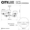 Люстра Citilux Alton CL421252 фото 9