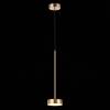 Подвесной светодиодный светильник ST Luce Pances SL6000.303.01 фото 2