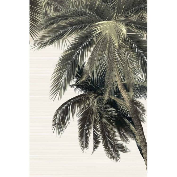 Панно Alma Ceramica Del Mare PWU09DLM2 50x74.7