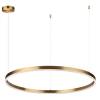 Подвесной светодиодный светильник Lumion Echo 6531/67L