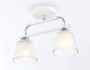 Потолочный светильник Ambrella light Traditional TR303229 фото 2