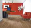 Линолеум Profi Strong Plus Falco 1 (рулон: 3.5x30=105 м2) фото 2
