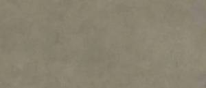 Керамогранит Creto Spectra MPL-060341 Scs Mushroom Gv 120х278 Керамогранит Creto Spectra MPL-060341 Scs Mushroom Gv 120х278