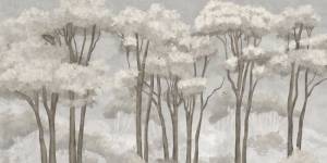 3D Фотообои Artegrafico «Густые верхушки деревьев в светлых тонах» PRS-010 канвас