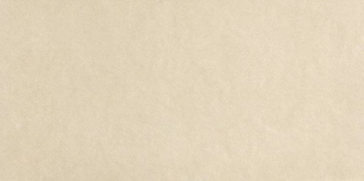 Керамическая плитка FAP Ceramiche Sheer fPA5 Beige 80x160