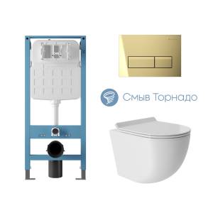 Комплект Aqueduto Tecnica Novo AQDS250T унитаз подвесной, сиденье микролифт, кнопка золото