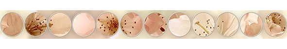 Бордюр Ceradim Manzano КБД4Manzano Mold 5x50