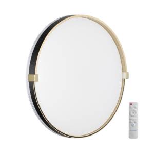 Настенно-потолочный светильник Sonex Olidi Black 7647/EL