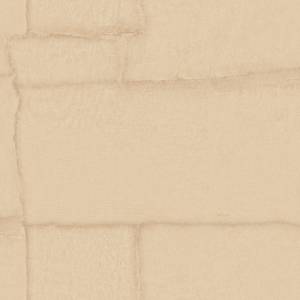 Обои Zambaiti Parati Trussardi 8 Z30304