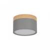 Накладной светодиодный светильник Loft IT Grape 10162 Grey
