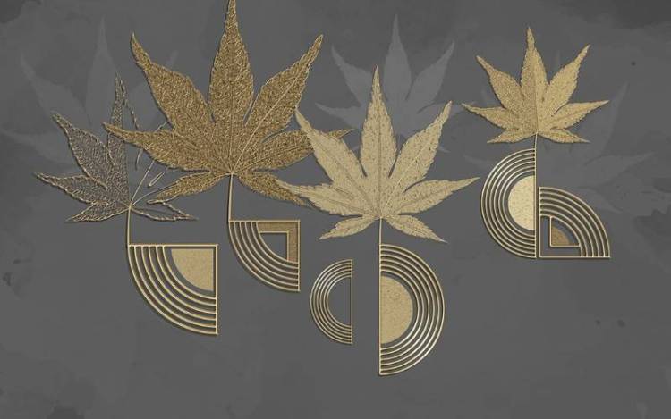 3D Фотообои Artegrafico «Кленовые листья с тиснением» SG-002 песок