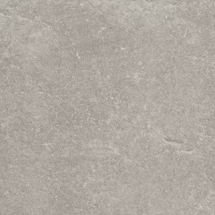 Керамогранит Porcelanosa Verbier 100324749 Silver 59.6x59.6