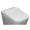 Крышка-сиденье Cerutti Spa Disgrazia CT7849