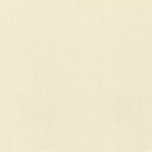 Обои Rasch Fresh Up 980363
