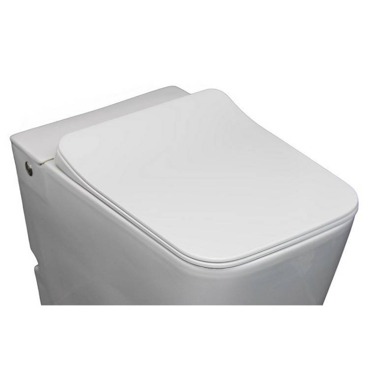 Крышка-сиденье Cerutti Spa Disgrazia CT7849
