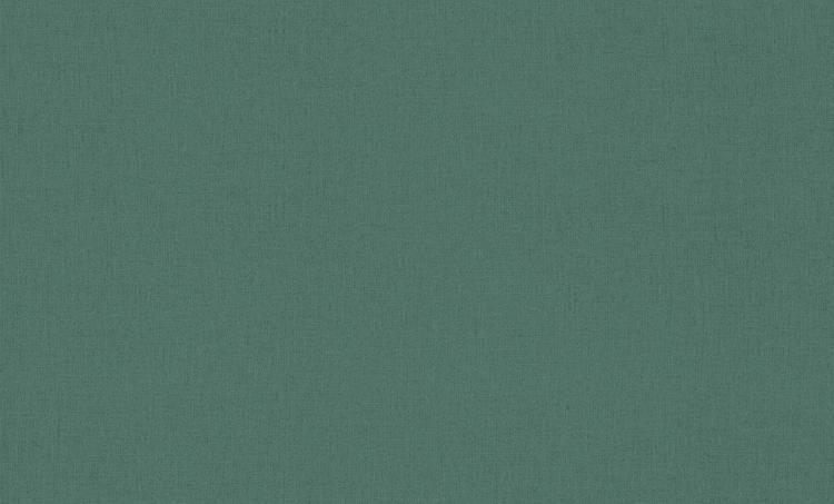 Обои Rasch Trend 975628
