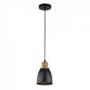 Подвесной светильник Arte Lamp Eurica A4248SP-1BK