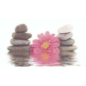 Декор Ceradim Stones КВС16Stones1 Dec 1 25x45