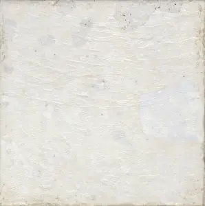 Керамическая плитка Aparici Aged White 20x20