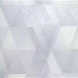 Обои HomeColor Trimotion HC71913-14