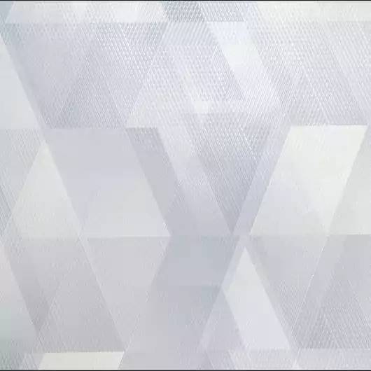 Обои HomeColor Trimotion HC71913-14